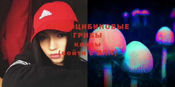 прущий лед Алзамай