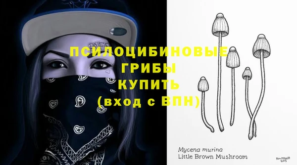 хмурый Алексеевка