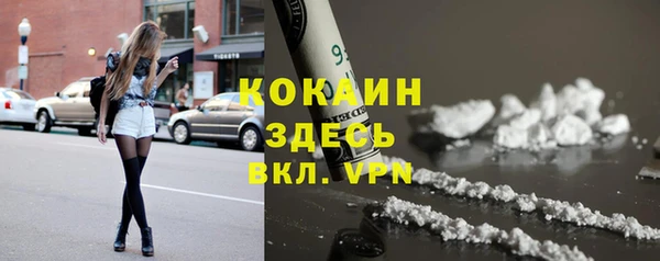 прущий лед Алзамай