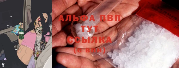прущий лед Алзамай
