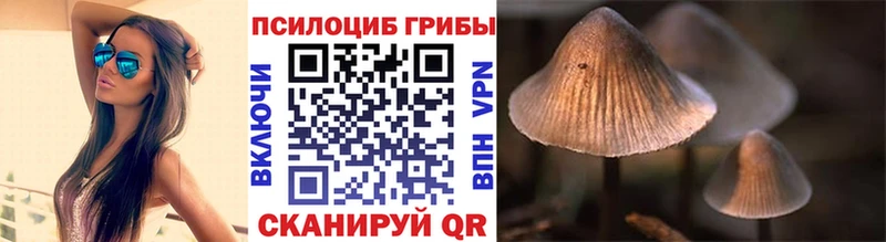 купить закладку  Октябрьский  Псилоцибиновые грибы мицелий 